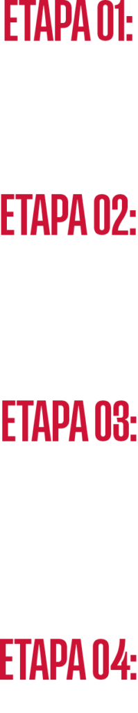 etapas (1)